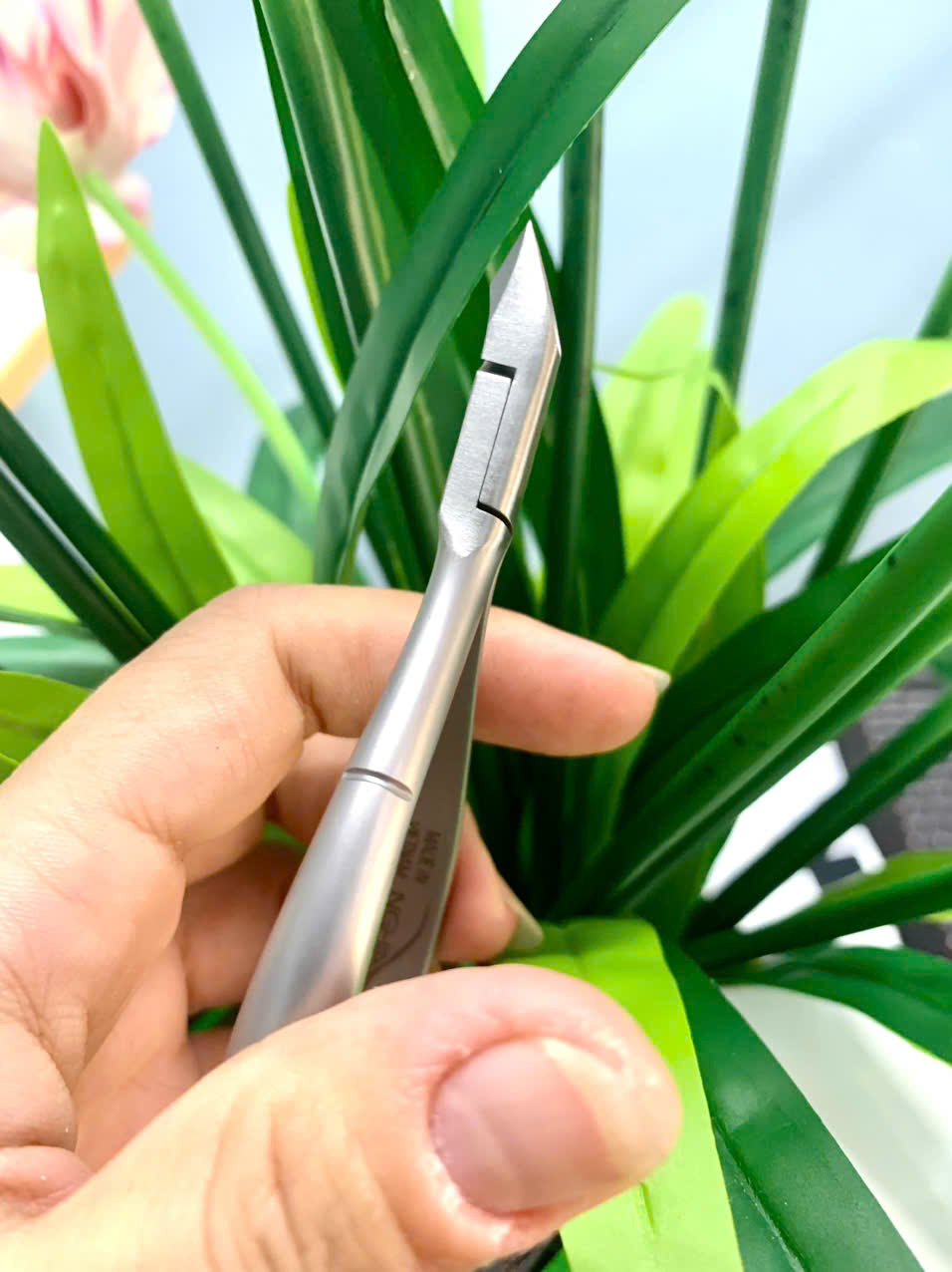 z7188813639675_f7b8c2437146e4814c8182c8c97ba566 z7188813639675_f7b8c2437146e4814c8182c8c97ba566