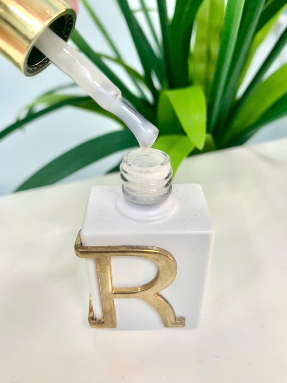 z7305337155239_b649d1cb21b7eb127c9ac7ca18211730 z7305337155239_b649d1cb21b7eb127c9ac7ca18211730