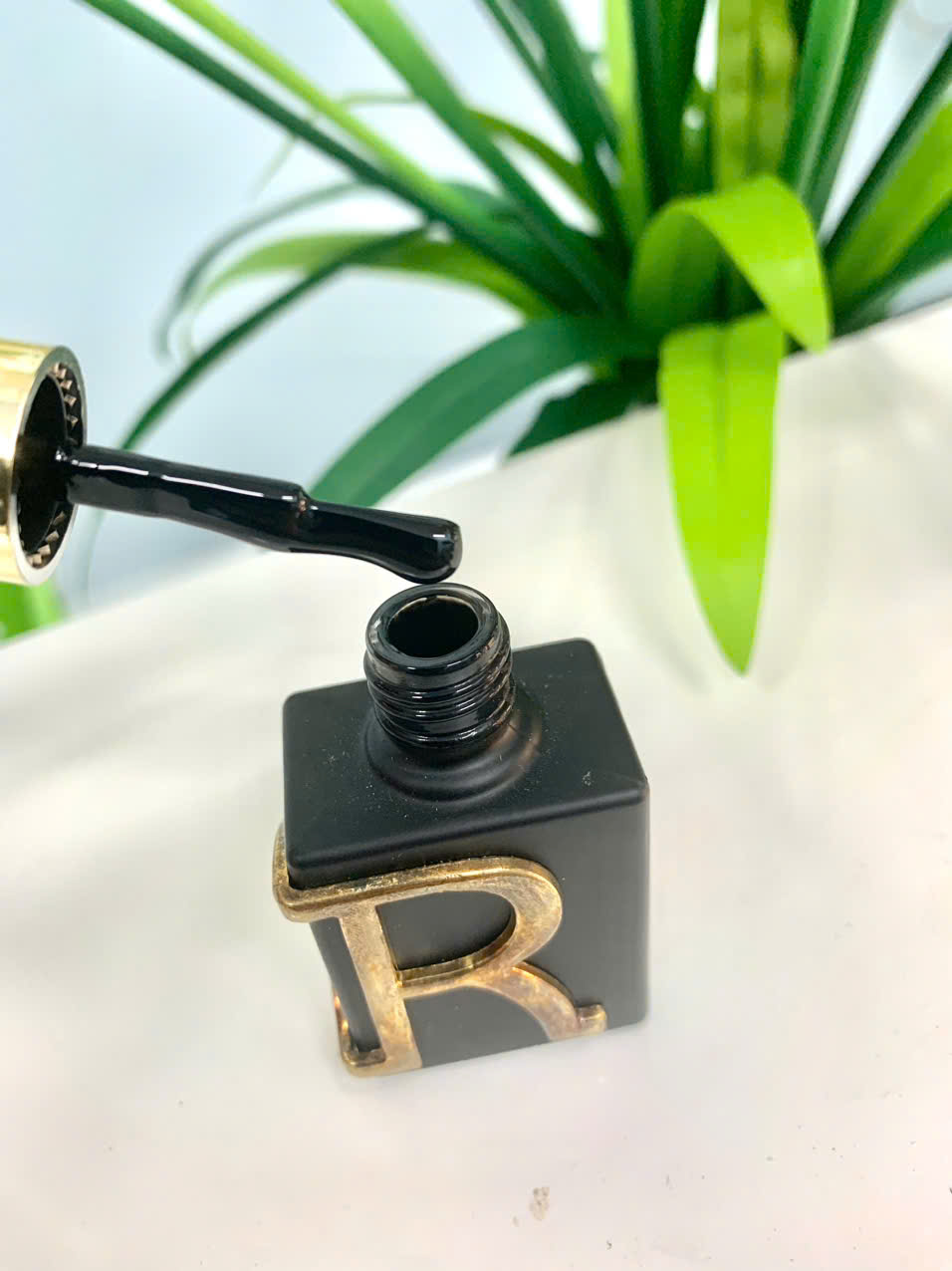 z7305337164745_6a5b1ef8fa7d295221b31960af4292f5 z7305337164745_6a5b1ef8fa7d295221b31960af4292f5