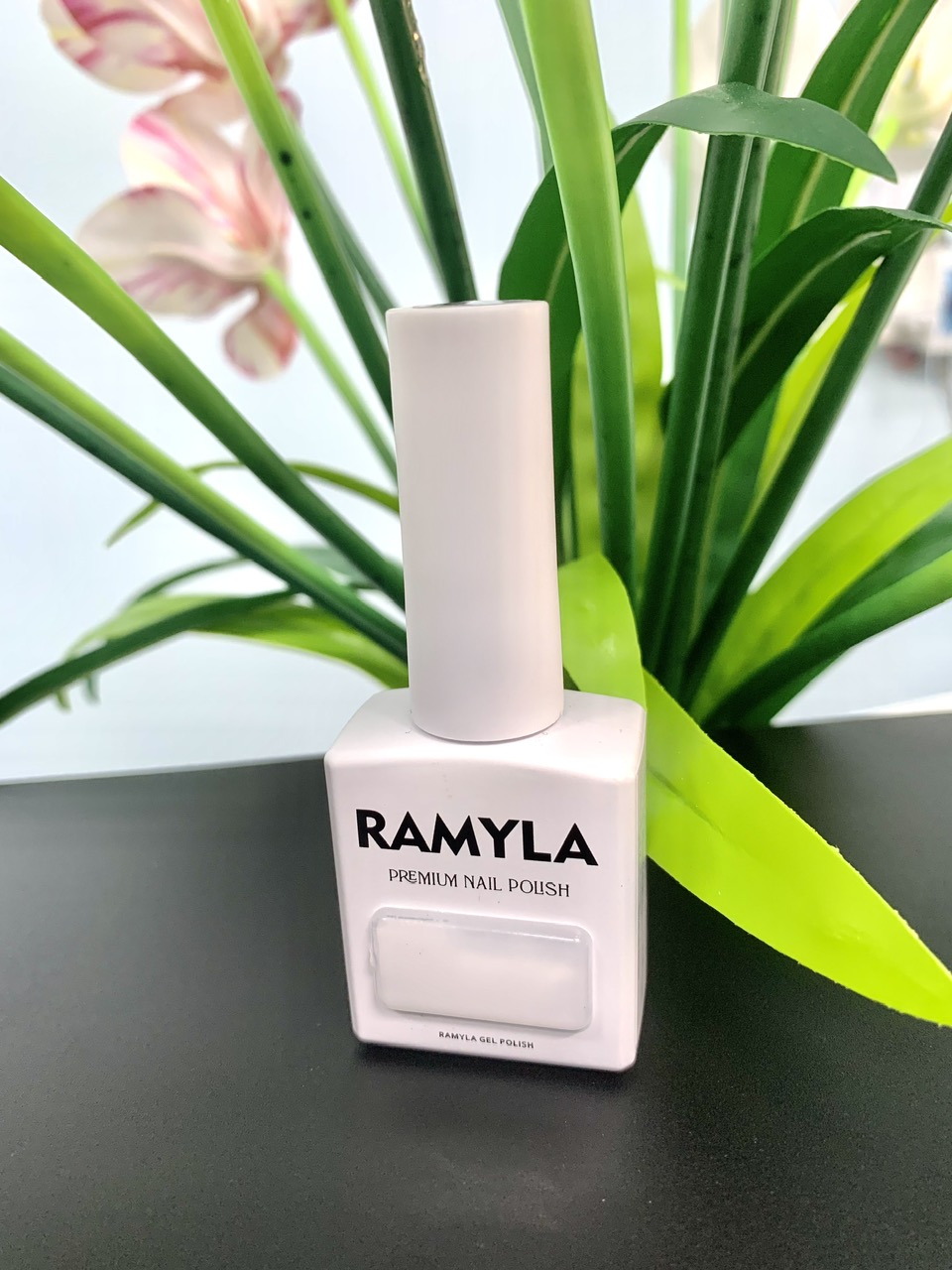 z7305412943963_e405fdc8182f5c3b4c67830b349a86c7 z7305412943963_e405fdc8182f5c3b4c67830b349a86c7