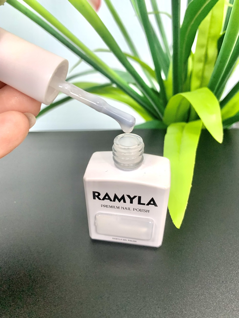 z7305412968108_188ed8ec351bd89261cbdeec8c6e328a z7305412968108_188ed8ec351bd89261cbdeec8c6e328a