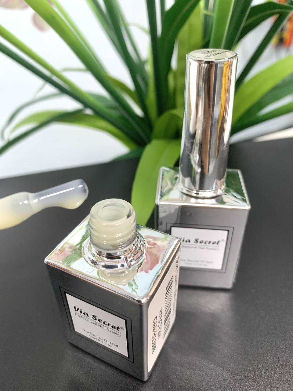 z7305583413290_6c399521e343823319fb2c8c9ce0dd70 z7305583413290_6c399521e343823319fb2c8c9ce0dd70