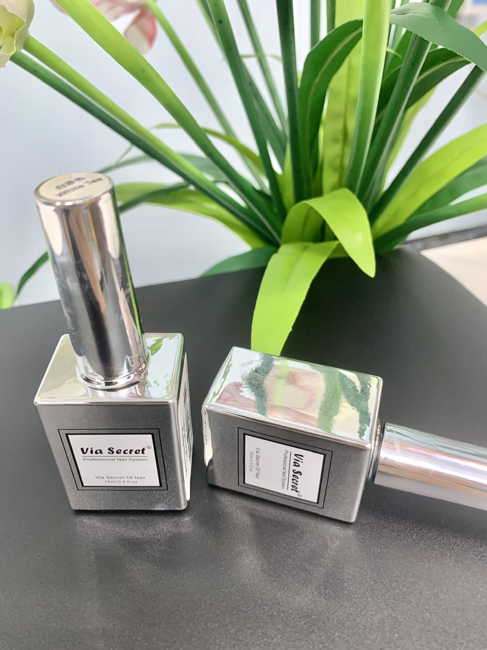 z7305583432093_ce2cb42401a983342991f10808e588b0 z7305583432093_ce2cb42401a983342991f10808e588b0