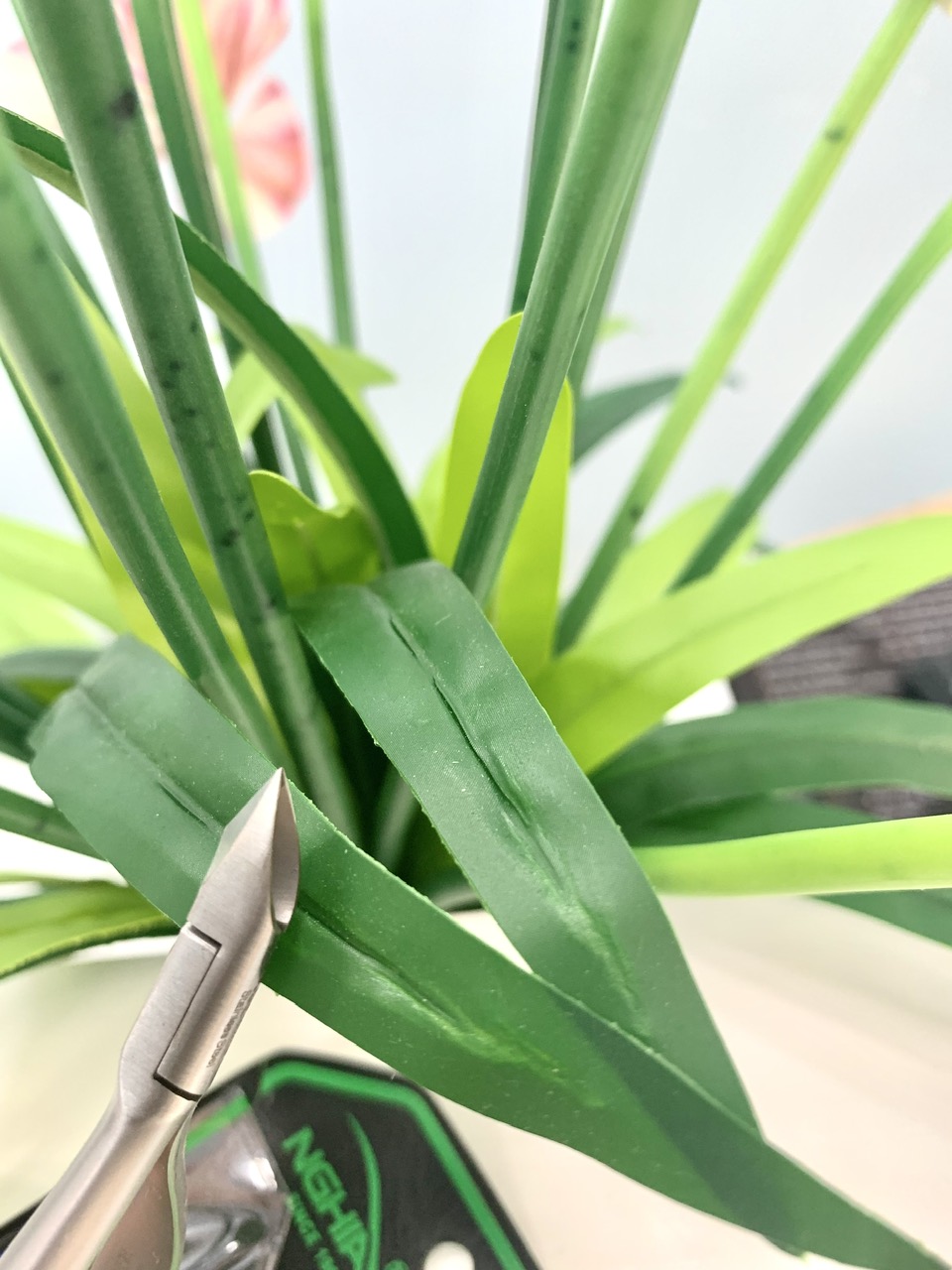 z7332405370781_1ee423f61dba97d502938a616eb934d5 z7332405370781_1ee423f61dba97d502938a616eb934d5