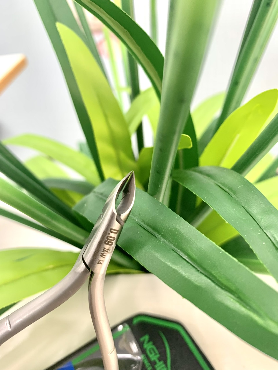 z7332405390936_e504ea506dee1aaf2be16e827e6b8f82 z7332405390936_e504ea506dee1aaf2be16e827e6b8f82